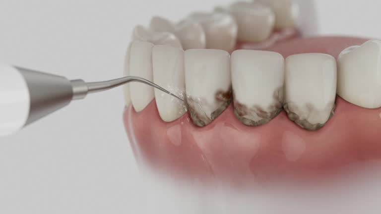 Reliable Dental contractor in Farmers Branch, TX by Dentist Open Now